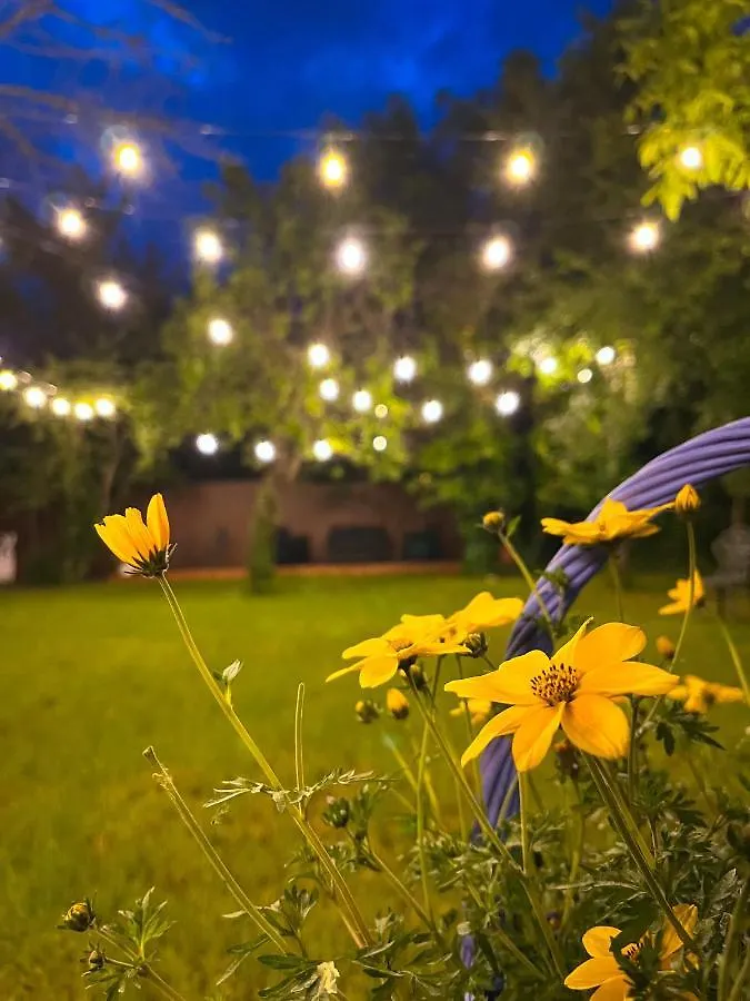 Villabaroque_Eger Bed & Breakfast